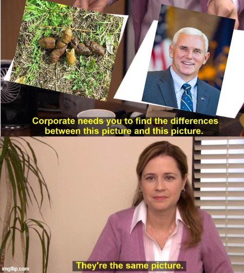 Pence the Putz | image tagged in memes,they're the same picture | made w/ Imgflip meme maker