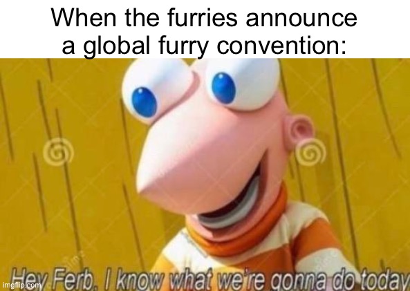 what a great idea! | When the furries announce a global furry convention: | image tagged in hey ferb | made w/ Imgflip meme maker