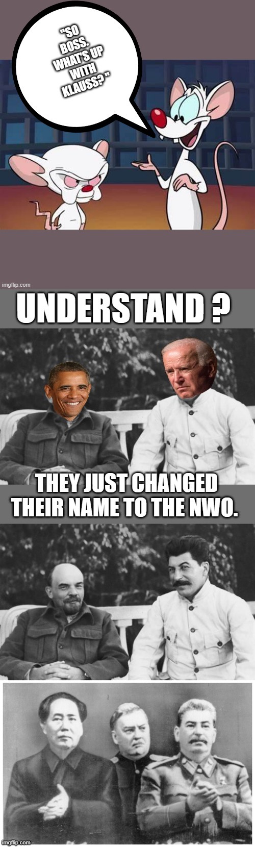 NWO is CODE FOR BOSEVIC Socialisum. | image tagged in democrats,traitors,nwo | made w/ Imgflip meme maker