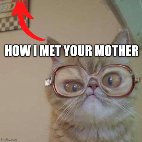 Hehe ha | HOW I MET YOUR MOTHER | image tagged in funny cat with glasses,mother,how i met your mother | made w/ Imgflip meme maker
