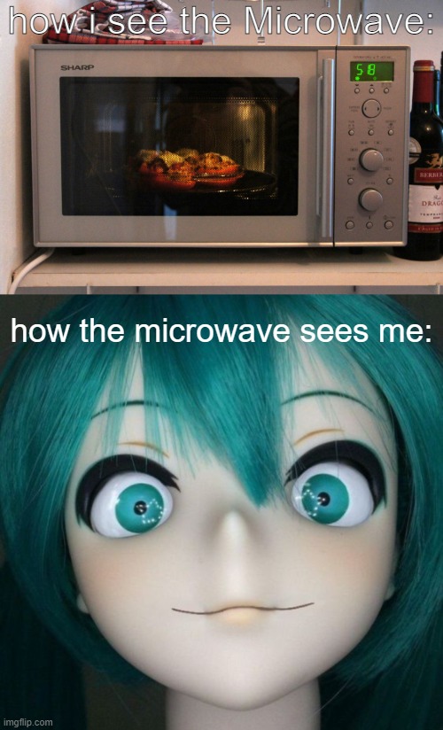 how i see the Microwave:; how the microwave sees me: | image tagged in microwave,memes | made w/ Imgflip meme maker