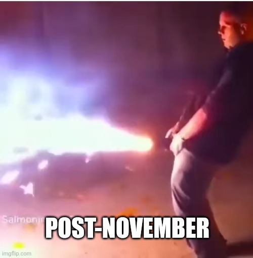 Post-November | POST-NOVEMBER | image tagged in bullshit | made w/ Imgflip meme maker