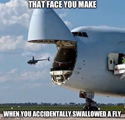 THAT FACE YOU MAKE; WHEN YOU ACCIDENTALLY SWALLOWED A FLY | image tagged in memes,funny,that face you make | made w/ Imgflip meme maker