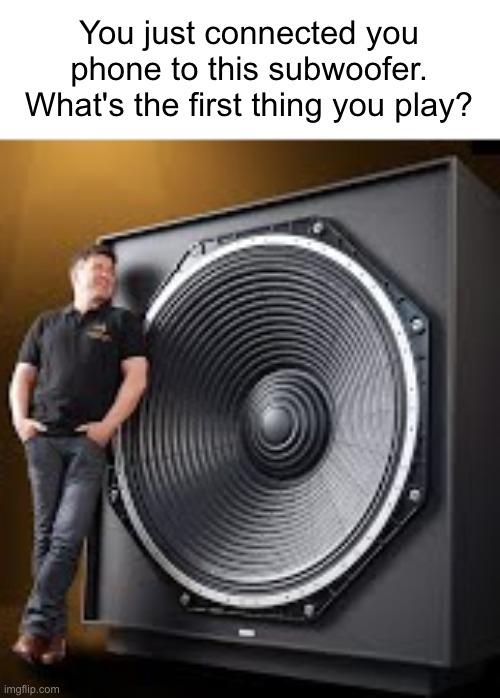 Answers in the comment section | You just connected you phone to this subwoofer. What's the first thing you play? | image tagged in oh wow are you actually reading these tags | made w/ Imgflip meme maker