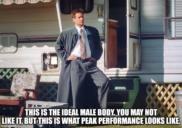 Agent Giga-Fox Mulder | THIS IS THE IDEAL MALE BODY. YOU MAY NOT LIKE IT, BUT THIS IS WHAT PEAK PERFORMANCE LOOKS LIKE. | image tagged in fox mulder the x files | made w/ Imgflip meme maker