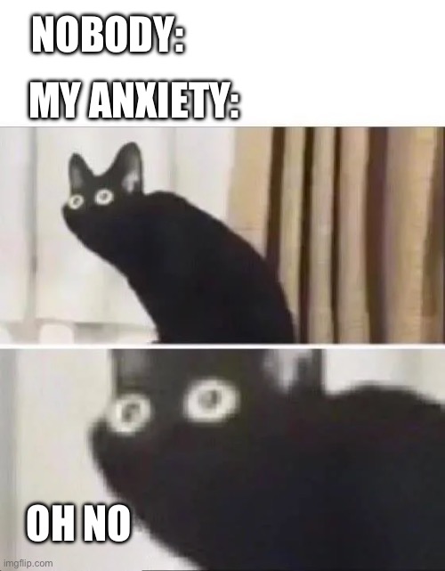 Oh No Black Cat | NOBODY:; MY ANXIETY:; OH NO | image tagged in oh no black cat | made w/ Imgflip meme maker