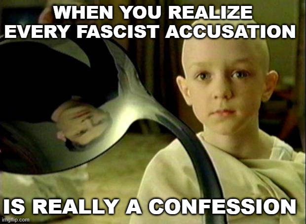 Spoon matrix | WHEN YOU REALIZE EVERY FASCIST ACCUSATION; IS REALLY A CONFESSION | image tagged in spoon matrix | made w/ Imgflip meme maker