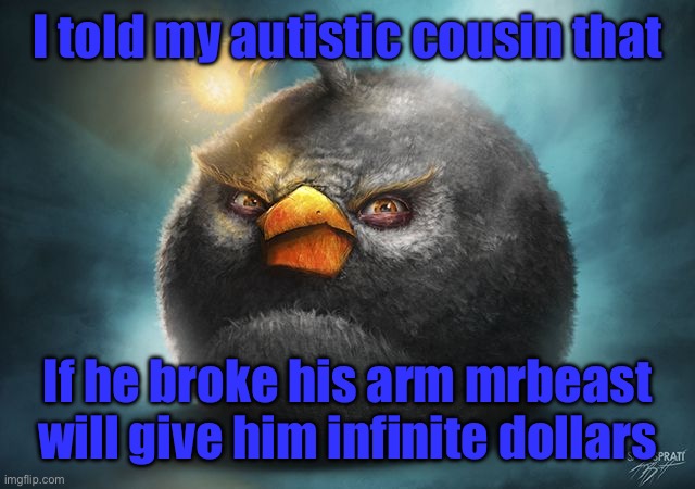 angry birds bomb | I told my autistic cousin that; If he broke his arm mrbeast will give him infinite dollars | image tagged in angry birds bomb | made w/ Imgflip meme maker
