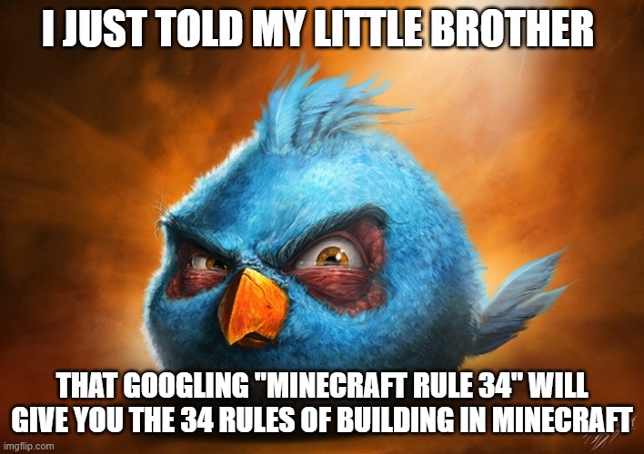 angry birds blue | I JUST TOLD MY LITTLE BROTHER; THAT GOOGLING "MINECRAFT RULE 34" WILL GIVE YOU THE 34 RULES OF BUILDING IN MINECRAFT | image tagged in angry birds blue | made w/ Imgflip meme maker