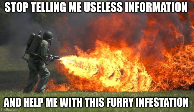 flamethrower | STOP TELLING ME USELESS INFORMATION AND HELP ME WITH THIS FURRY INFESTATION | image tagged in flamethrower | made w/ Imgflip meme maker