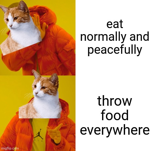 cats | eat normally and peacefully; throw food everywhere | image tagged in memes,drake hotline bling | made w/ Imgflip meme maker