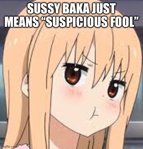 And know you kniw | SUSSY BAKA JUST MEANS “SUSPICIOUS FOOL” | image tagged in sussy baka | made w/ Imgflip meme maker