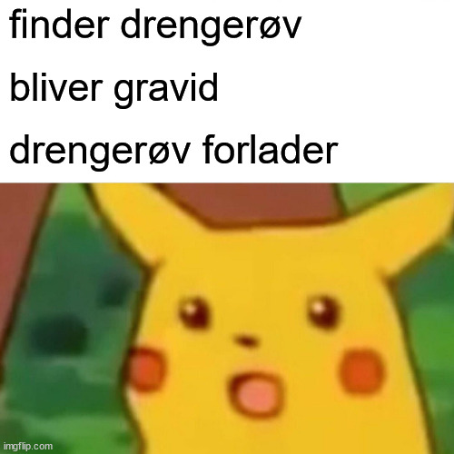 Typical Young Danish Women | finder drengerøv; bliver gravid; drengerøv forlader | image tagged in memes,surprised pikachu | made w/ Imgflip meme maker