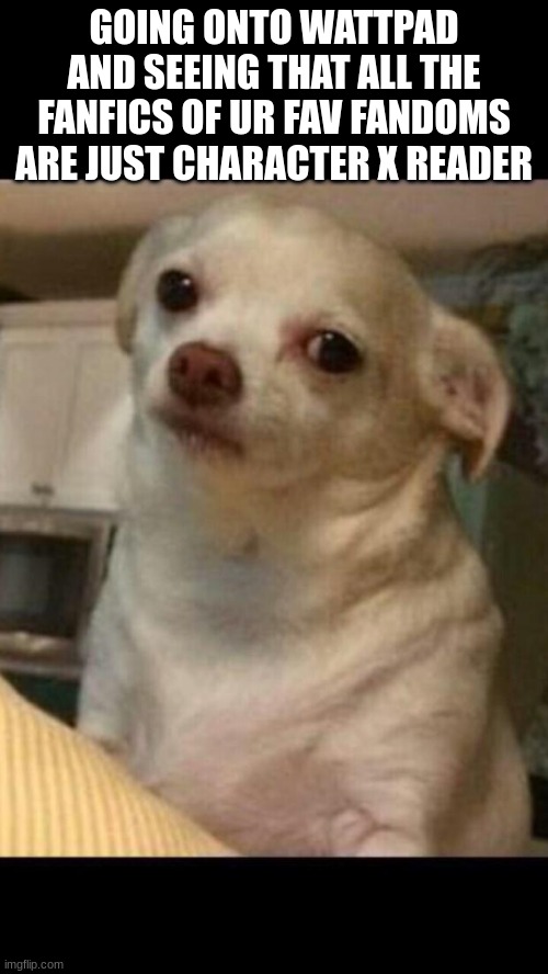 Concerned chihuahua | GOING ONTO WATTPAD AND SEEING THAT ALL THE FANFICS OF UR FAV FANDOMS ARE JUST CHARACTER X READER | image tagged in concerned chihuahua,wattpad,fanfic,character x reader,why | made w/ Imgflip meme maker