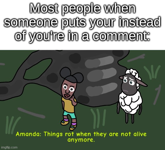 You have alarmed the  A M A N D A... | Most people when someone puts your instead of you're in a comment: | image tagged in things ___ when they are ___ _____ anymore | made w/ Imgflip meme maker