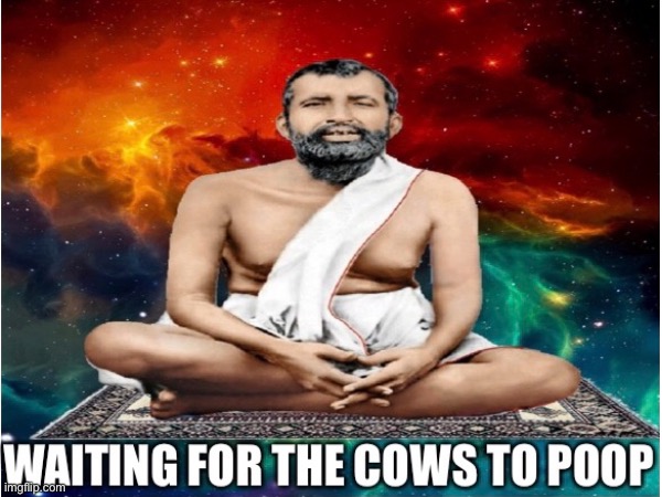 Waiting for the cows to poop | image tagged in cows,hinduism,poop | made w/ Imgflip meme maker