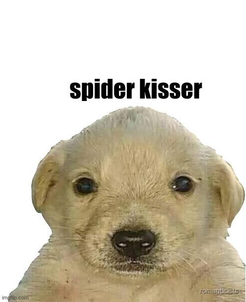 jotchua | spider kisser | image tagged in jotchua | made w/ Imgflip meme maker