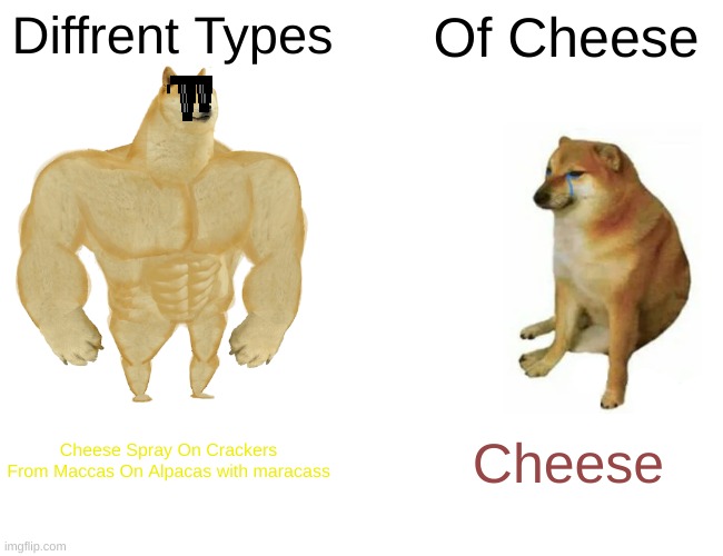Buff Doge vs. Cheems Meme | Diffrent Types; Of Cheese; Cheese Spray On Crackers From Maccas On Alpacas with maracass; Cheese | image tagged in memes,buff doge vs cheems | made w/ Imgflip meme maker