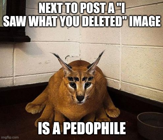 bibically accurate floppa | NEXT TO POST A "I SAW WHAT YOU DELETED" IMAGE; IS A PEDOPHILE | image tagged in bibically accurate floppa | made w/ Imgflip meme maker