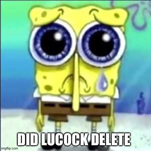 Sad Spongebob | DID LUCOCK DELETE | image tagged in sad spongebob | made w/ Imgflip meme maker