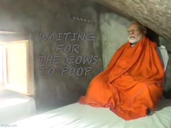 Waiting for the cows to poop | WAITING FOR THE COWS TO POOP | image tagged in cows,hinduism,poop | made w/ Imgflip meme maker