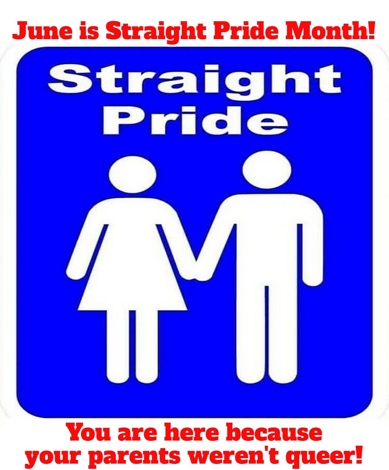 June is Straight Pride Month! | image tagged in straight pride month,straight,just say no to bud light,bud light,tired of hearing about transgenders | made w/ Imgflip meme maker