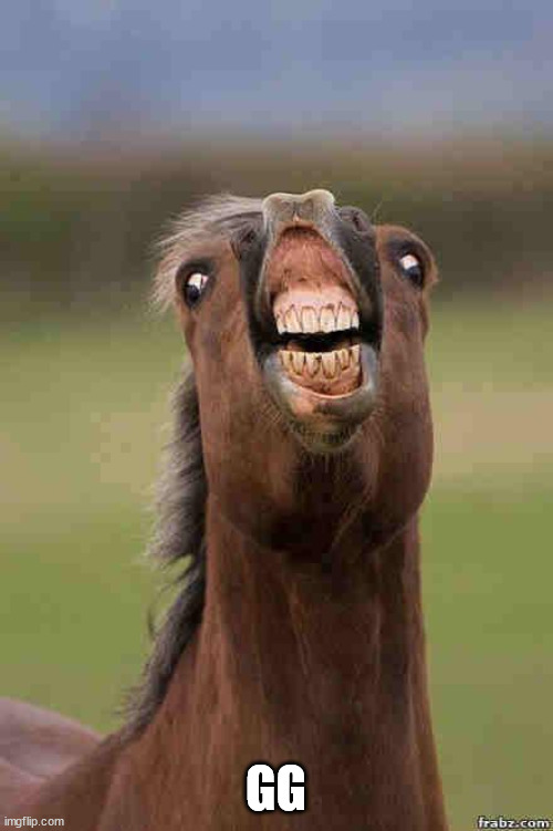 horse face | GG | image tagged in horse face | made w/ Imgflip meme maker
