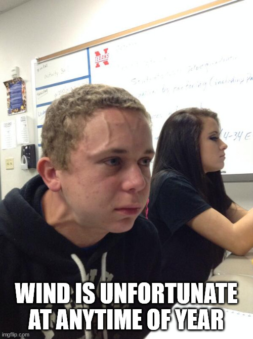 Hold fart | WIND IS UNFORTUNATE AT ANYTIME OF YEAR | image tagged in hold fart | made w/ Imgflip meme maker
