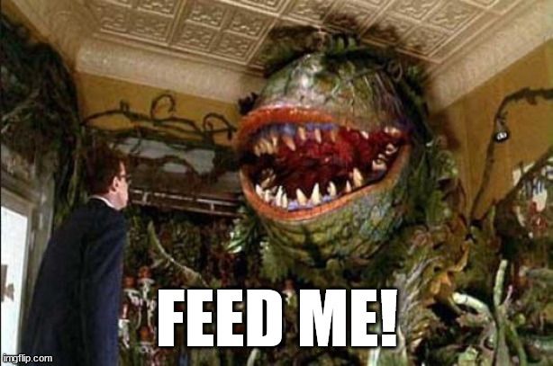 Feed me | FEED ME! | image tagged in feed me | made w/ Imgflip meme maker