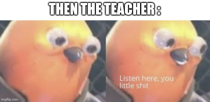 Listen here you little shit bird | THEN THE TEACHER : | image tagged in listen here you little shit bird | made w/ Imgflip meme maker
