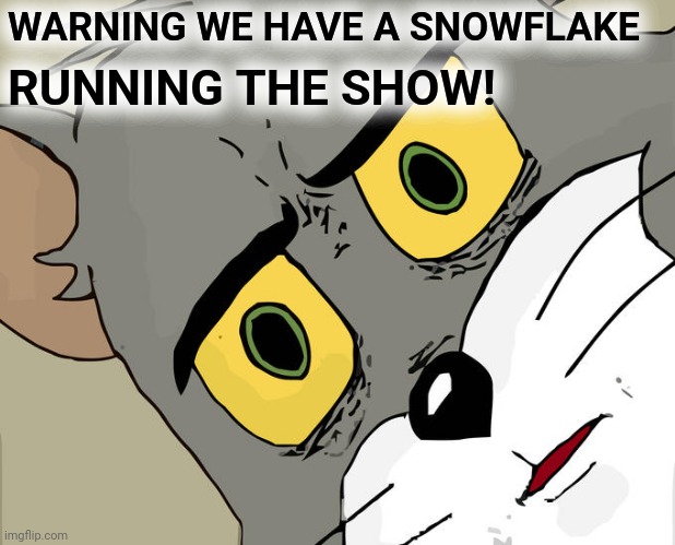 Snowflake problem | WARNING WE HAVE A SNOWFLAKE; RUNNING THE SHOW! | image tagged in memes,unsettled tom | made w/ Imgflip meme maker