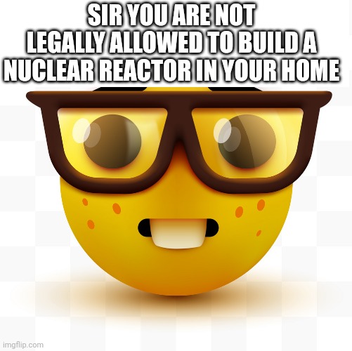 E | SIR YOU ARE NOT LEGALLY ALLOWED TO BUILD A NUCLEAR REACTOR IN YOUR HOME | image tagged in nerd emoji | made w/ Imgflip meme maker