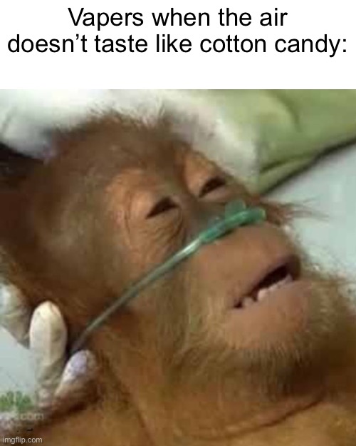 Dying orangutan | Vapers when the air doesn’t taste like cotton candy: | image tagged in dying orangutan | made w/ Imgflip meme maker