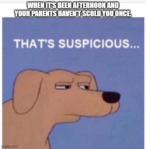 That's suspicious  | WHEN IT'S BEEN AFTERNOON AND YOUR PARENTS HAVEN'T SCOLD YOU ONCE. | image tagged in that's suspicious | made w/ Imgflip meme maker