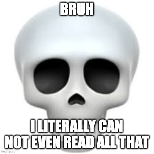 Skull | BRUH I LITERALLY CAN NOT EVEN READ ALL THAT | image tagged in skull | made w/ Imgflip meme maker