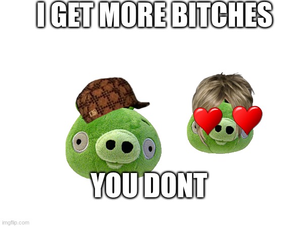 no bitches? | I GET MORE BITCHES; YOU DONT | image tagged in angry birds | made w/ Imgflip meme maker