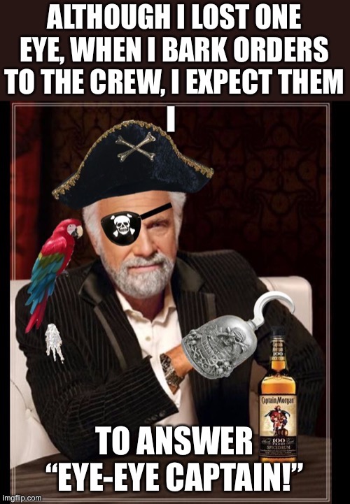 Pirate | image tagged in bad pun | made w/ Imgflip meme maker