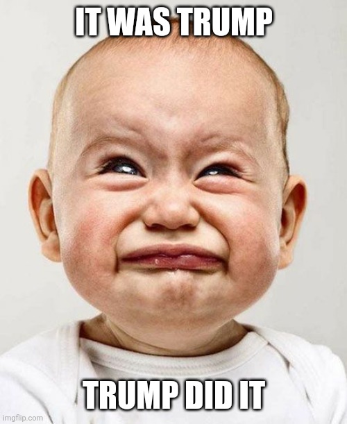 CryingBaby | IT WAS TRUMP TRUMP DID IT | image tagged in cryingbaby | made w/ Imgflip meme maker
