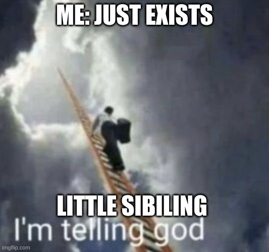 facts | ME: JUST EXISTS; LITTLE SIBILING | image tagged in im telling god,god | made w/ Imgflip meme maker