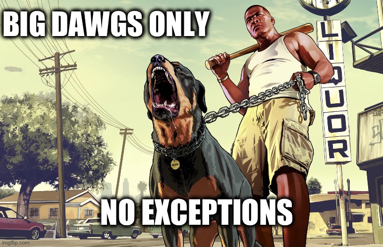 GTA 5 Franklin and his dog Chop | BIG DAWGS ONLY; NO EXCEPTIONS | image tagged in gta 5 franklin and his dog chop | made w/ Imgflip meme maker