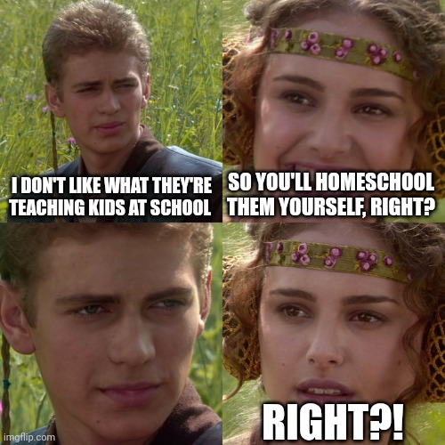 If you need the government to raise your kids then you don't get to whine about how they do it | I DON'T LIKE WHAT THEY'RE TEACHING KIDS AT SCHOOL; SO YOU'LL HOMESCHOOL THEM YOURSELF, RIGHT? RIGHT?! | image tagged in anakin padme 4 panel,scumbag republicans,terrorists,terrorism,conservative hypocrisy | made w/ Imgflip meme maker