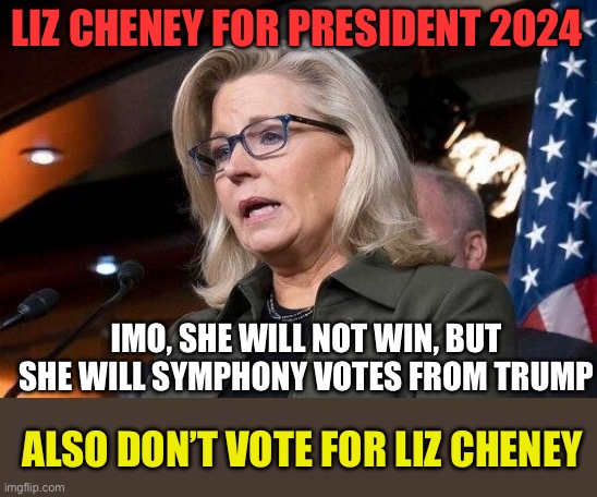 Liz Cheney | LIZ CHENEY FOR PRESIDENT 2024; IMO, SHE WILL NOT WIN, BUT SHE WILL SYMPHONY VOTES FROM TRUMP; ALSO DON’T VOTE FOR LIZ CHENEY | image tagged in liz cheney | made w/ Imgflip meme maker
