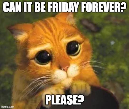 Friday forever | CAN IT BE FRIDAY FOREVER? PLEASE? | image tagged in friday,please,forever | made w/ Imgflip meme maker