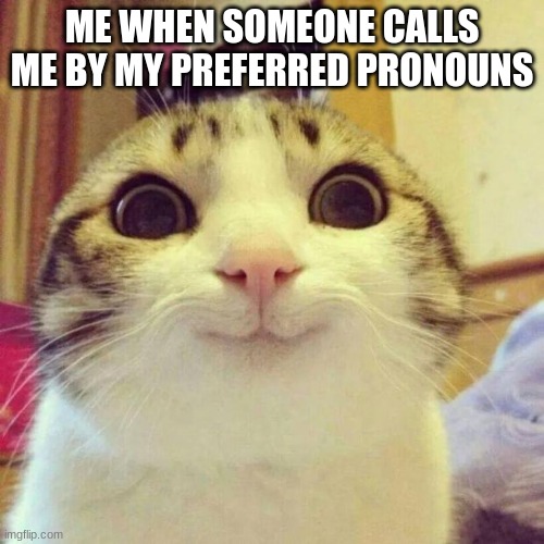 Smiling Cat | ME WHEN SOMEONE CALLS ME BY MY PREFERRED PRONOUNS | image tagged in memes,smiling cat | made w/ Imgflip meme maker