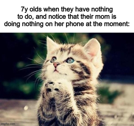 "You got games?" | 7y olds when they have nothing to do, and notice that their mom is doing nothing on her phone at the moment: | image tagged in cat begging | made w/ Imgflip meme maker