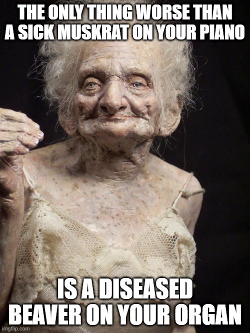 Puking in 3...2...1 | THE ONLY THING WORSE THAN A SICK MUSKRAT ON YOUR PIANO; IS A DISEASED BEAVER ON YOUR ORGAN | image tagged in sexy old woman | made w/ Imgflip meme maker