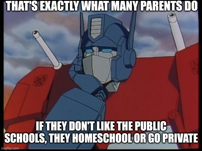 your point being? | THAT'S EXACTLY WHAT MANY PARENTS DO IF THEY DON'T LIKE THE PUBLIC SCHOOLS, THEY HOMESCHOOL OR GO PRIVATE | image tagged in your point being | made w/ Imgflip meme maker