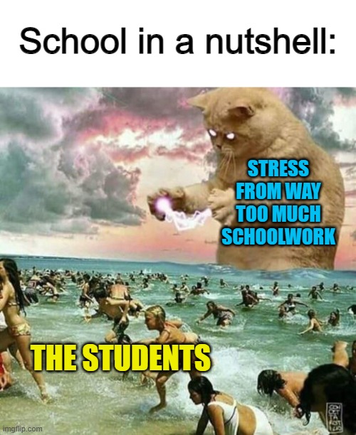 Where the heck did I find this template? :0 | School in a nutshell:; STRESS FROM WAY TOO MUCH SCHOOLWORK; THE STUDENTS | image tagged in giant cat on beach | made w/ Imgflip meme maker
