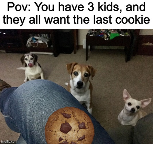 Kids do this often when there's a spare piece of dessert tbh :) | Pov: You have 3 kids, and they all want the last cookie | image tagged in 3 beggers | made w/ Imgflip meme maker