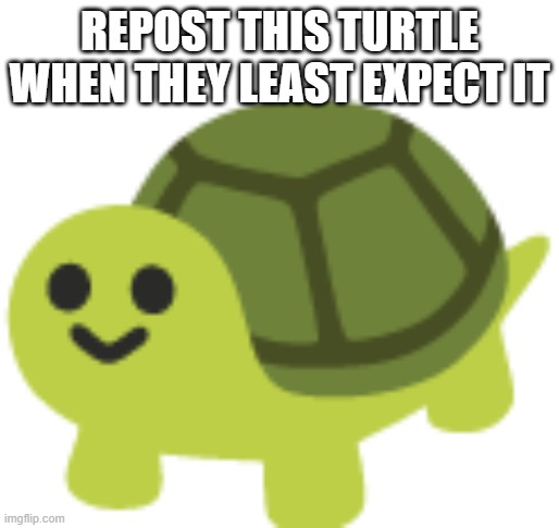 Go crazy with effects add images if you want | REPOST THIS TURTLE WHEN THEY LEAST EXPECT IT | image tagged in repost,turtle,i was not expecting that | made w/ Imgflip meme maker